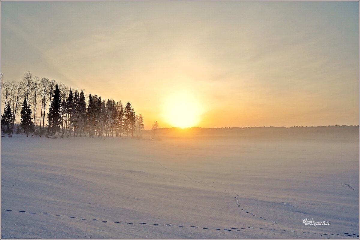 Однажды в марте - Aquarius - Сергей Однажды в марте - Aquarius - Сергей