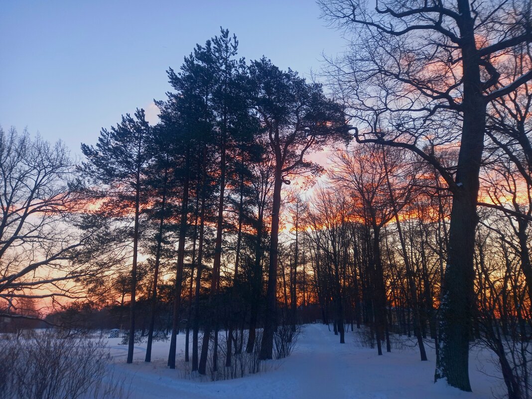 Рассвет - Сапсан 