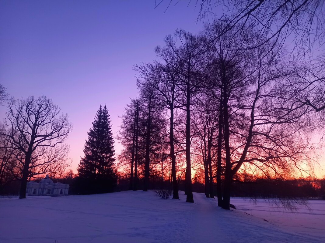 Рассвет - Сапсан 