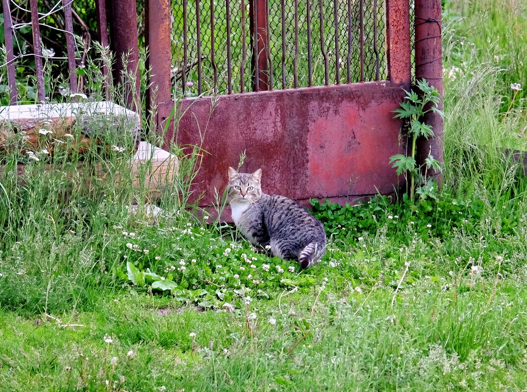 Соседка - Валерий Судачок Соседка - Валерий Судачок