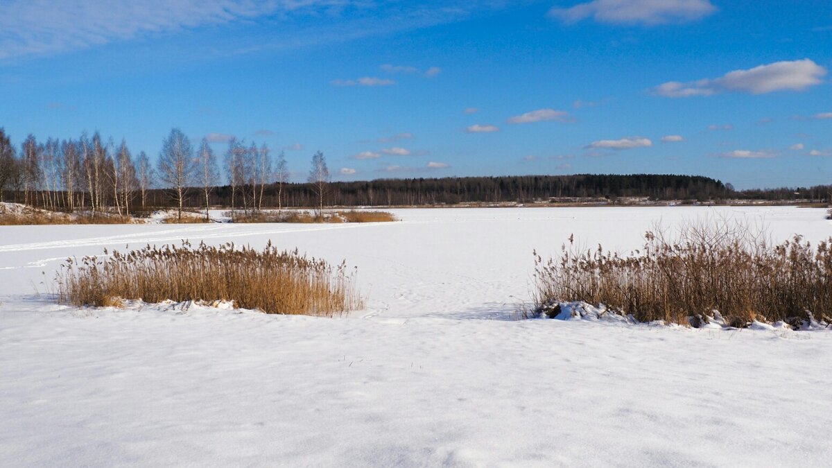 О минувшем феврале - Милешкин Владимир Алексеевич О минувшем феврале - Милешкин Владимир Алексеевич