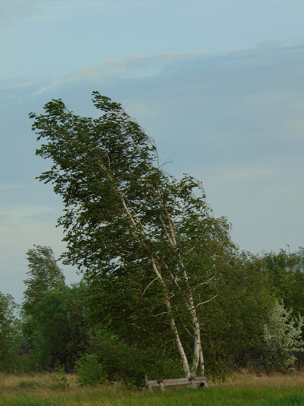 Ветер тучи нагоняет-будет дождь. - nadyasilyuk Вознюк Ветер тучи нагоняет-будет дождь. - nadyasilyuk Вознюк