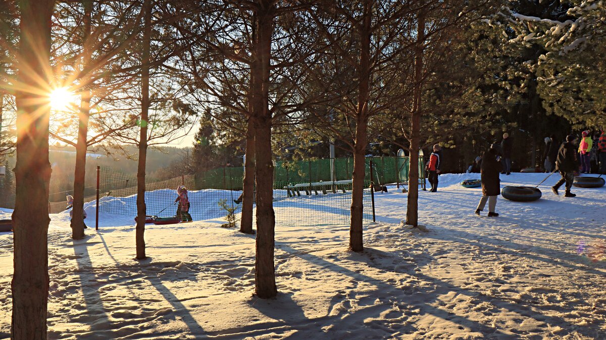 *** - веселов михаил *** - веселов михаил