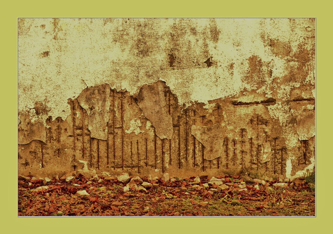 СТЕНА... - Elvira E. 