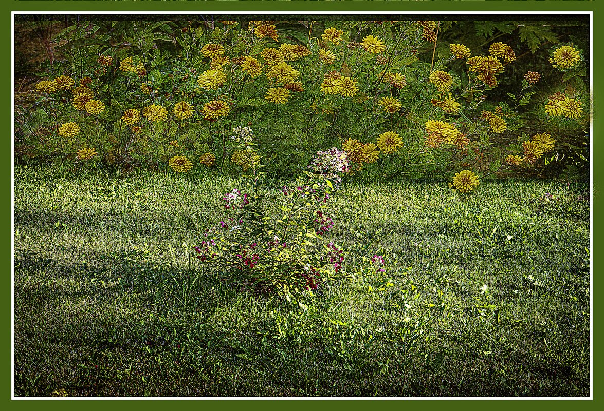 Летняя зарисовка - Владимир Кроливец Летняя зарисовка - Владимир Кроливец