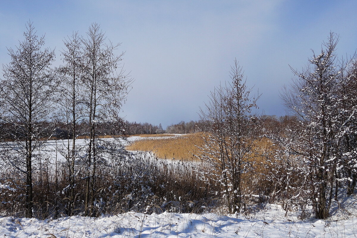 В окрестностях Калининграда - Рита Симонова В окрестностях Калининграда - Рита Симонова