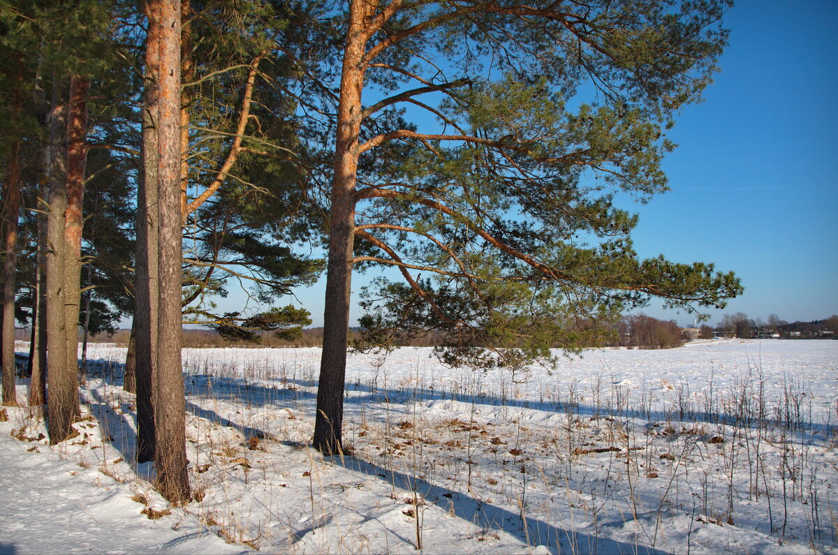 На краю леса - lady v.ekaterina На краю леса - lady v.ekaterina