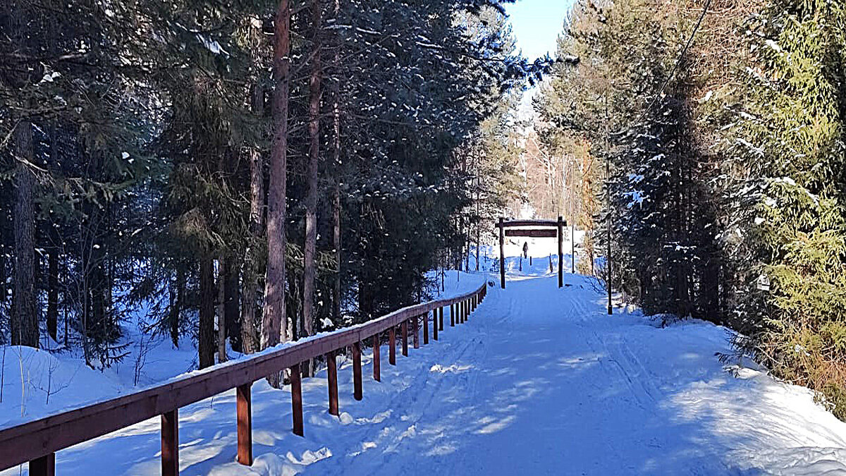 К Тропе здоровья - Алевтина 