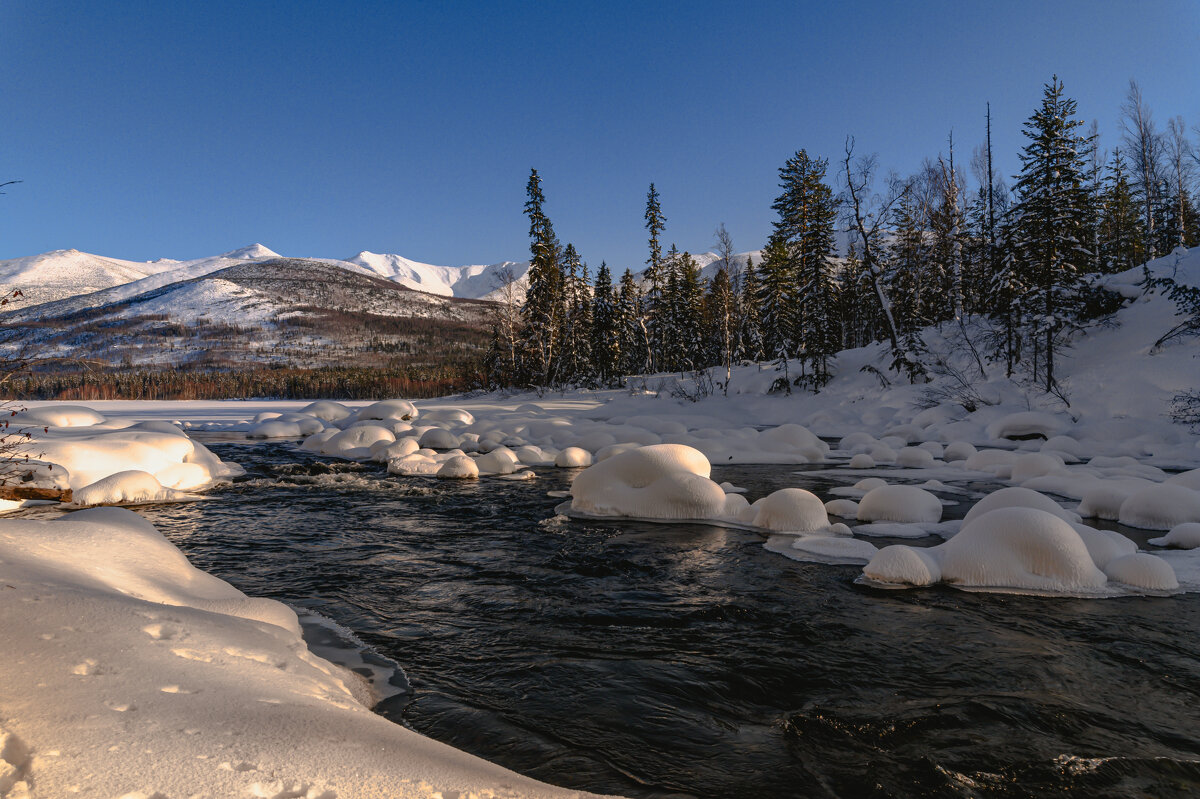 *** - Дмитрий *** - Дмитрий