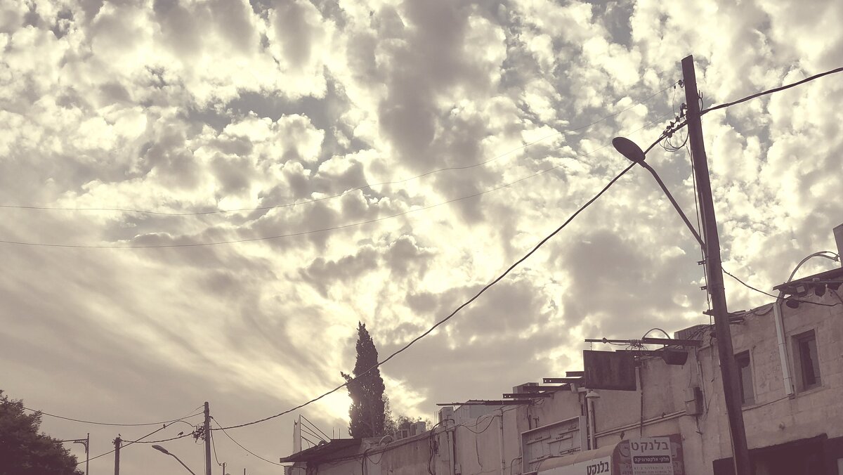 12  КЛОС (651) - CLOSE WAYS ALL