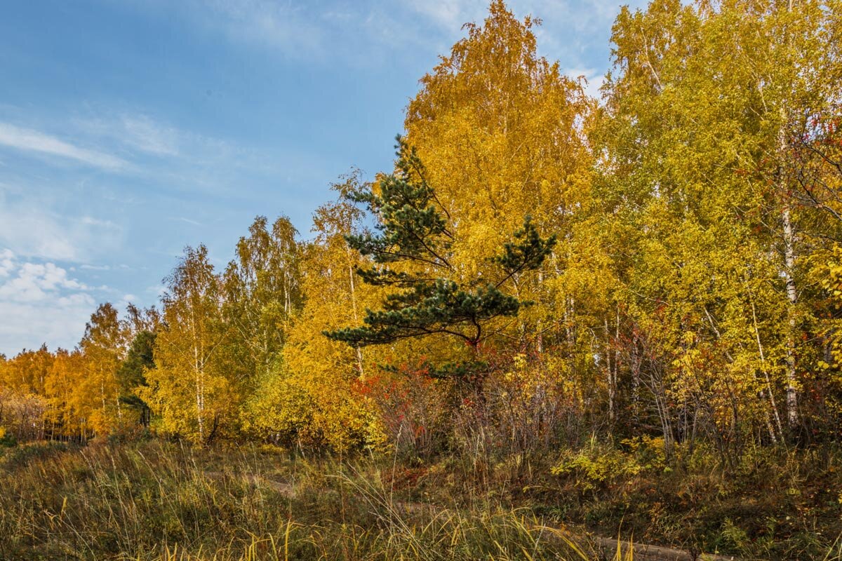 Пейзаж - SanSan 