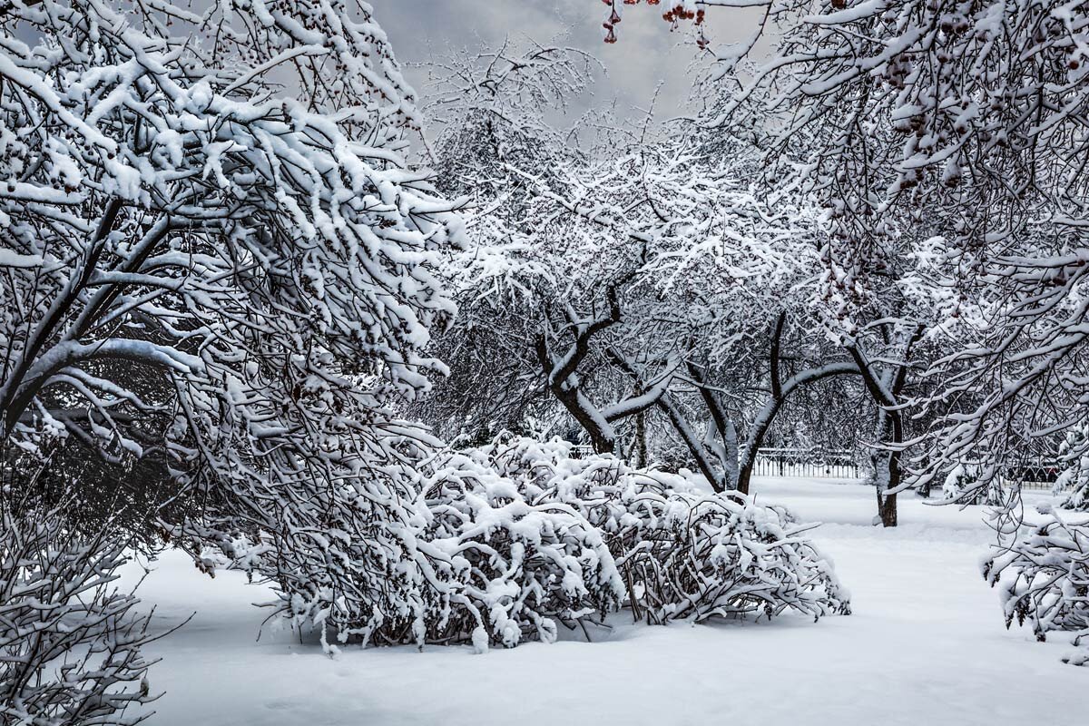 Пейзаж - SanSan 