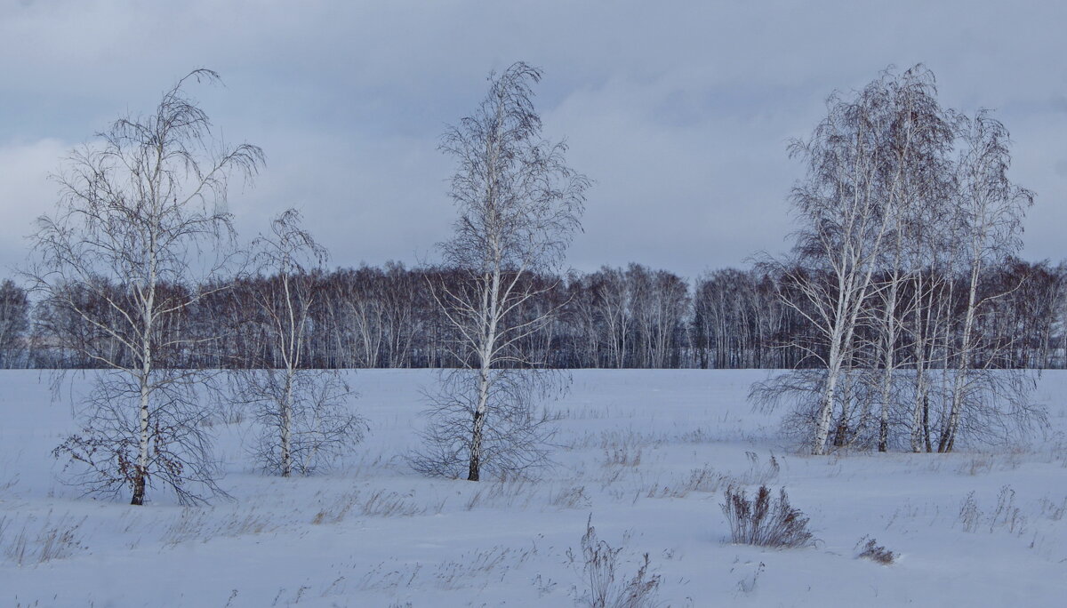 Пейзаж января. - сергей ермошкин Пейзаж января. - сергей ермошкин