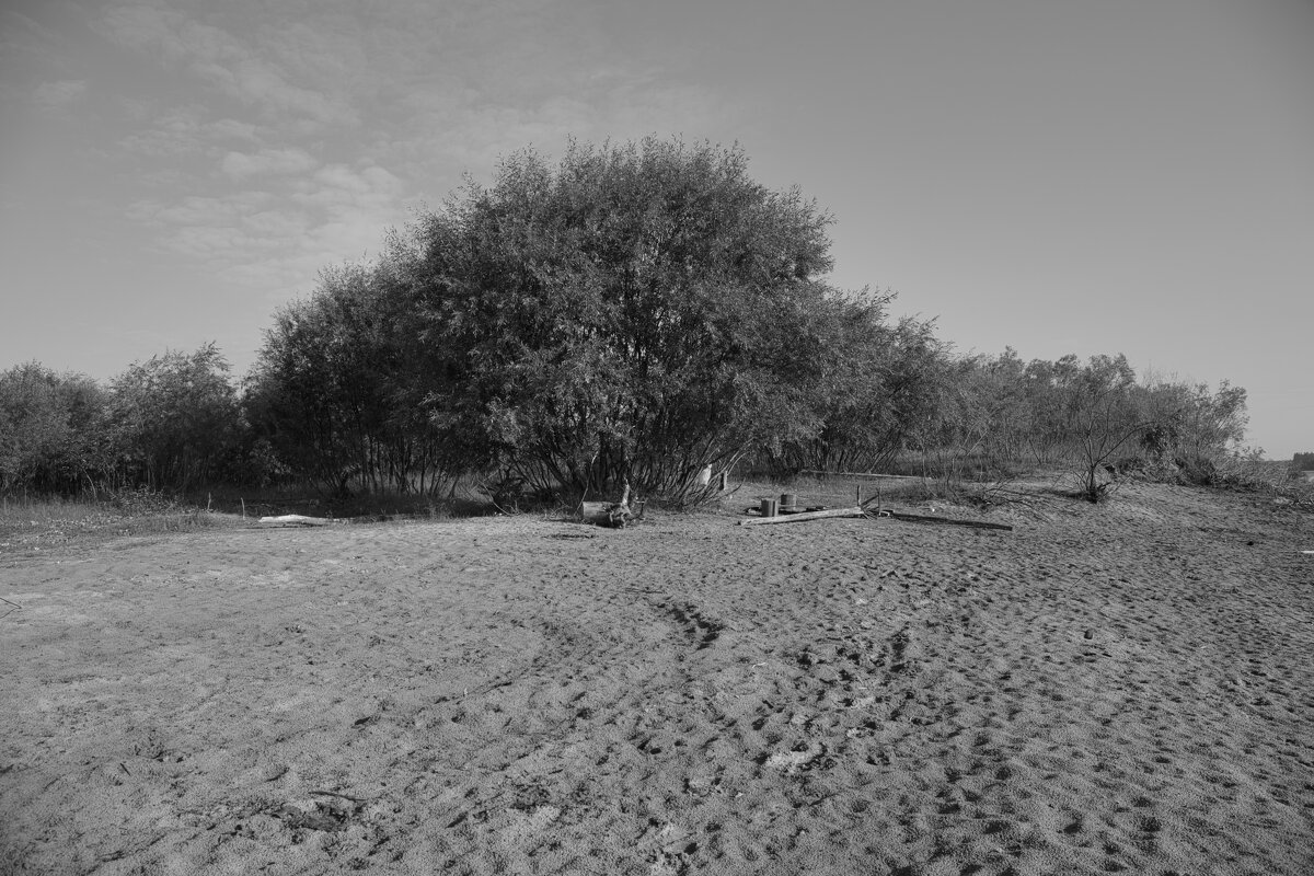 Название отсутствует - Денис Безногов Название отсутствует - Денис Безногов