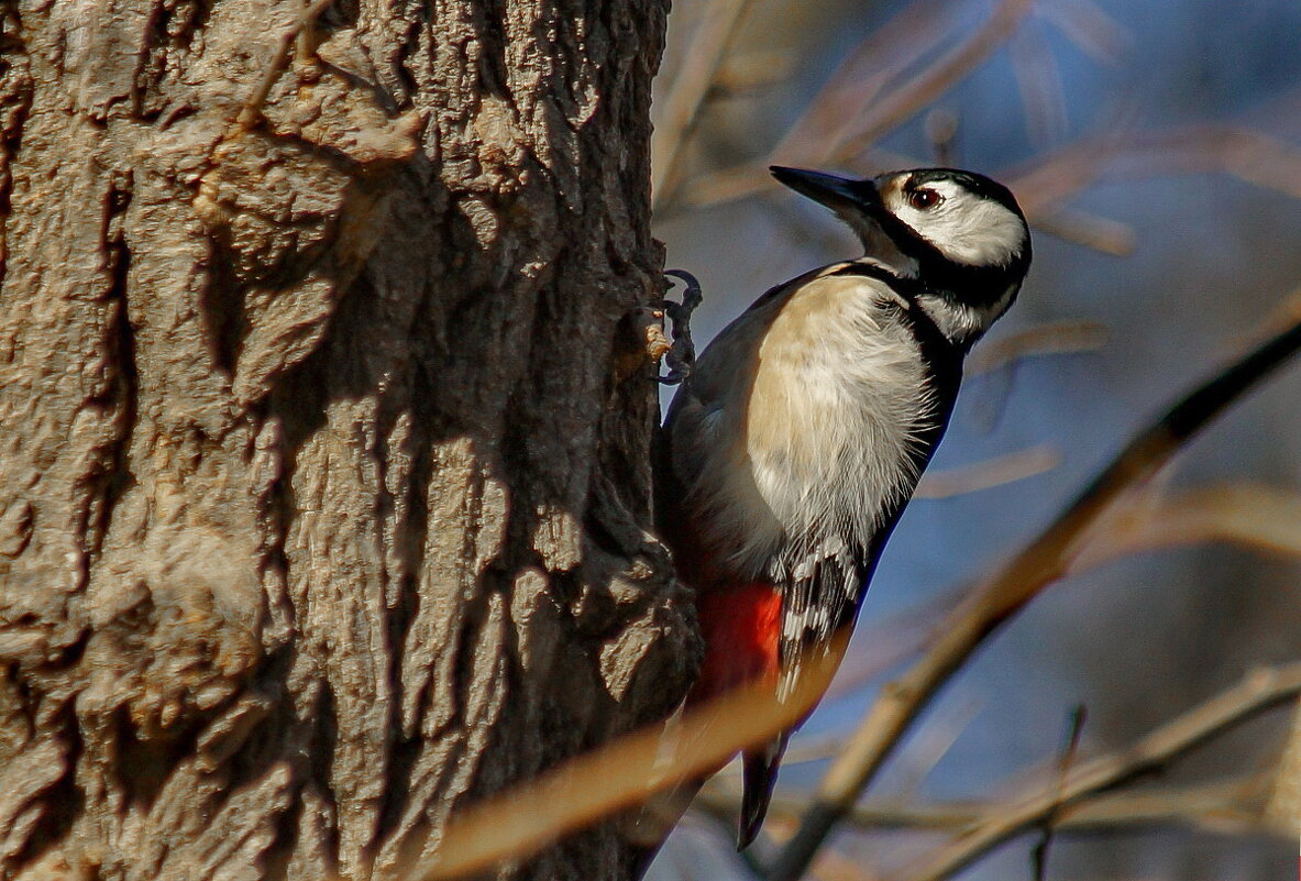 Наконец то Весна... - Николай Саржанов Наконец то Весна... - Николай Саржанов