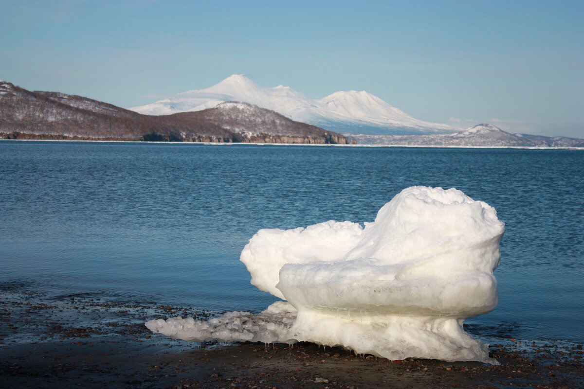 Авачинская бухта - Александр Белов