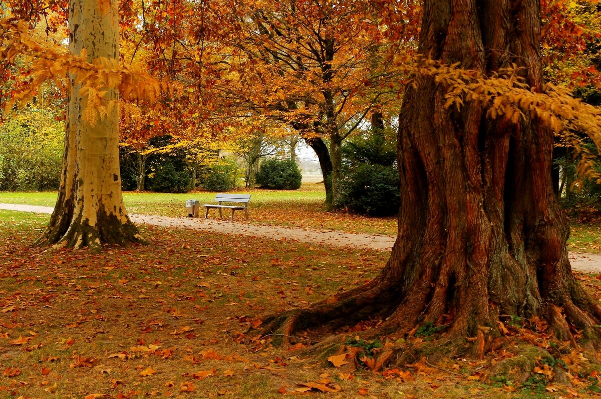 Об осени - Юрий. Шмаков Об осени - Юрий. Шмаков