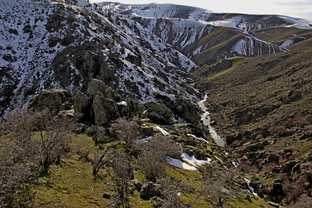 ГОРНАЯ ПРОГУЛКА. - Виктор Осипчук