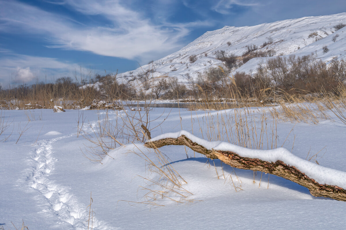 Окрестности - Игорь Сикорский