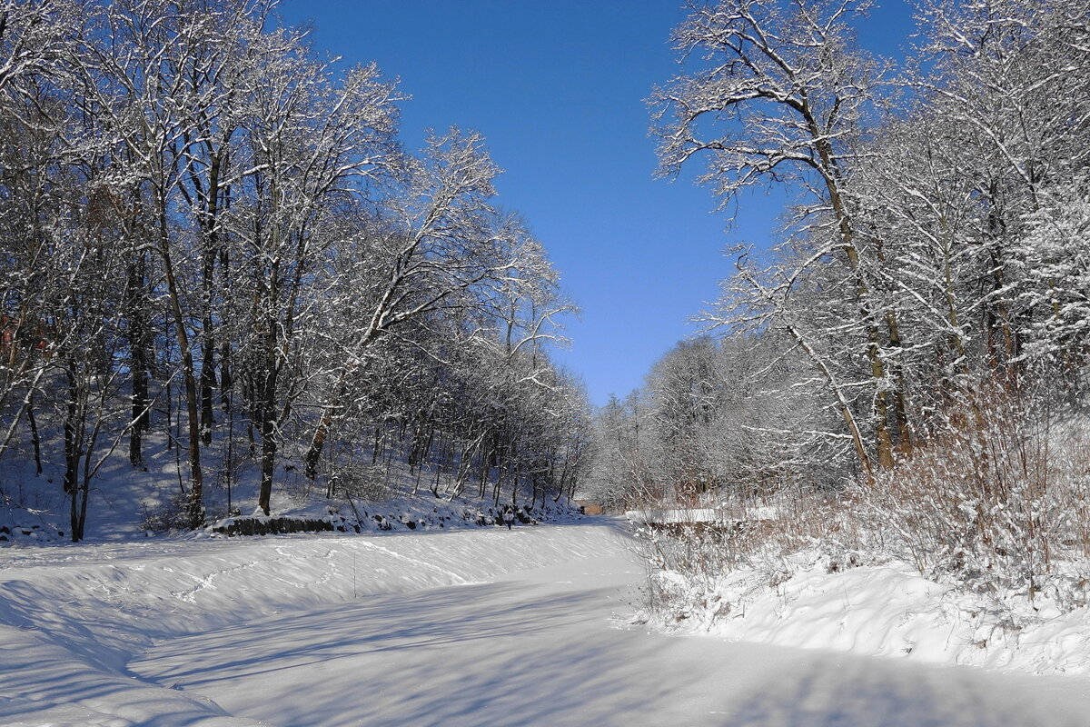 Февраль - Рита Симонова Февраль - Рита Симонова