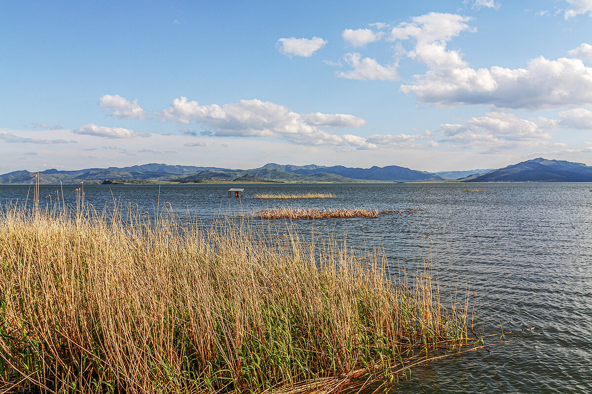 Союз - Дмитрий Союз - Дмитрий