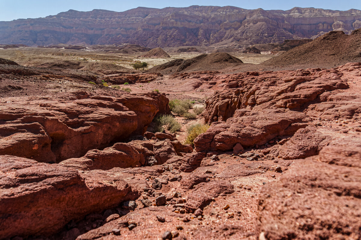Медное русло - Eugene *