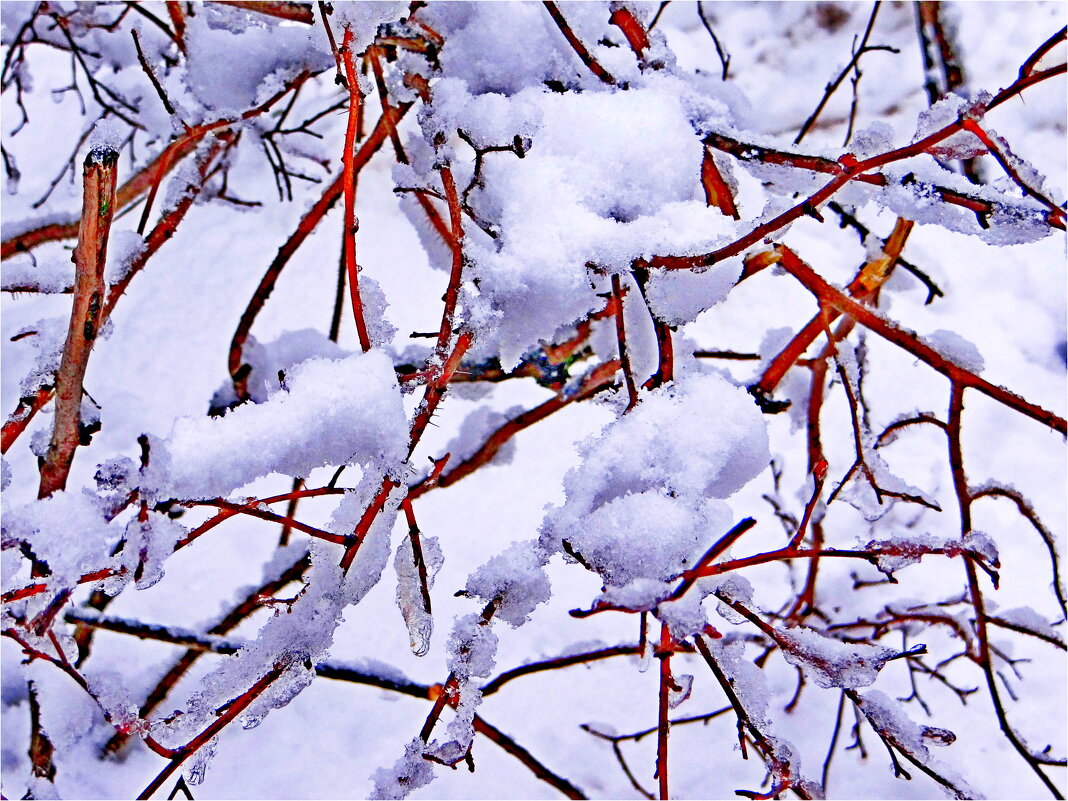 ЭТЮД - Юрий Владимирович 34 ЭТЮД - Юрий Владимирович 34