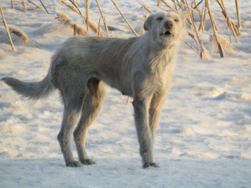 Серьёзное предупреждение - Galaelina ***