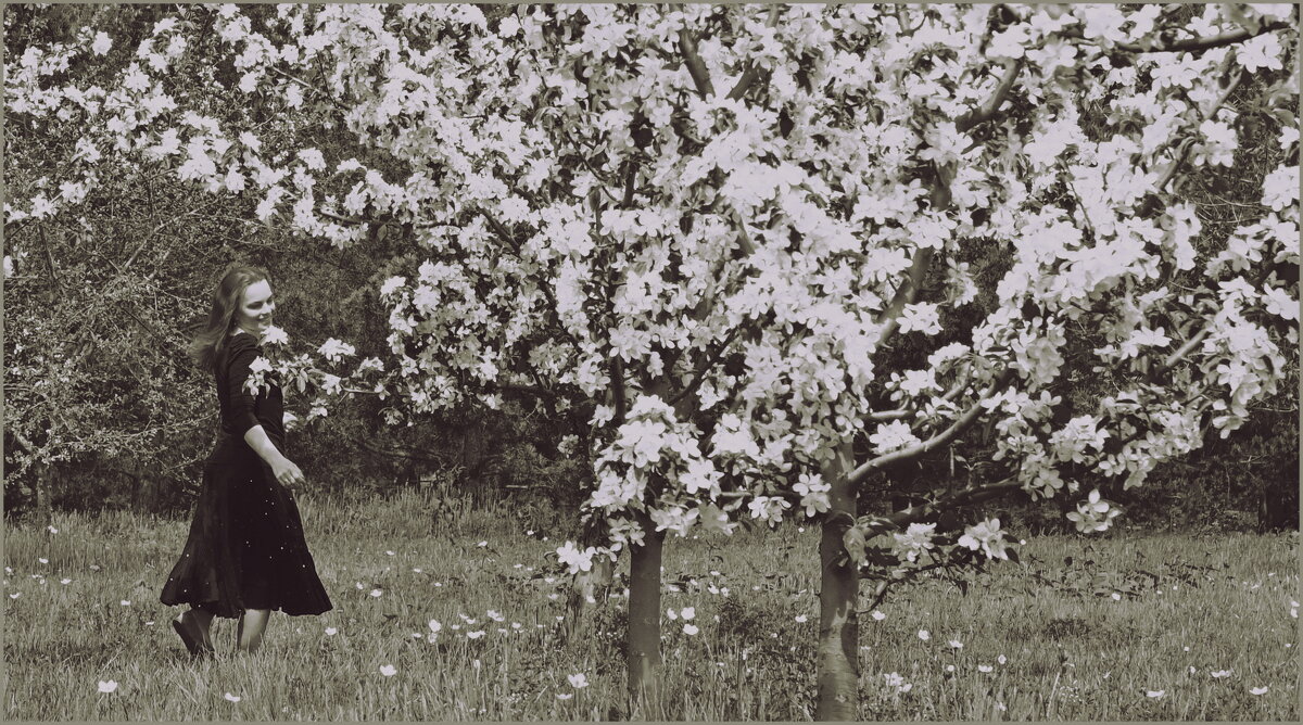 Прогулка - Алексей Хвастунов