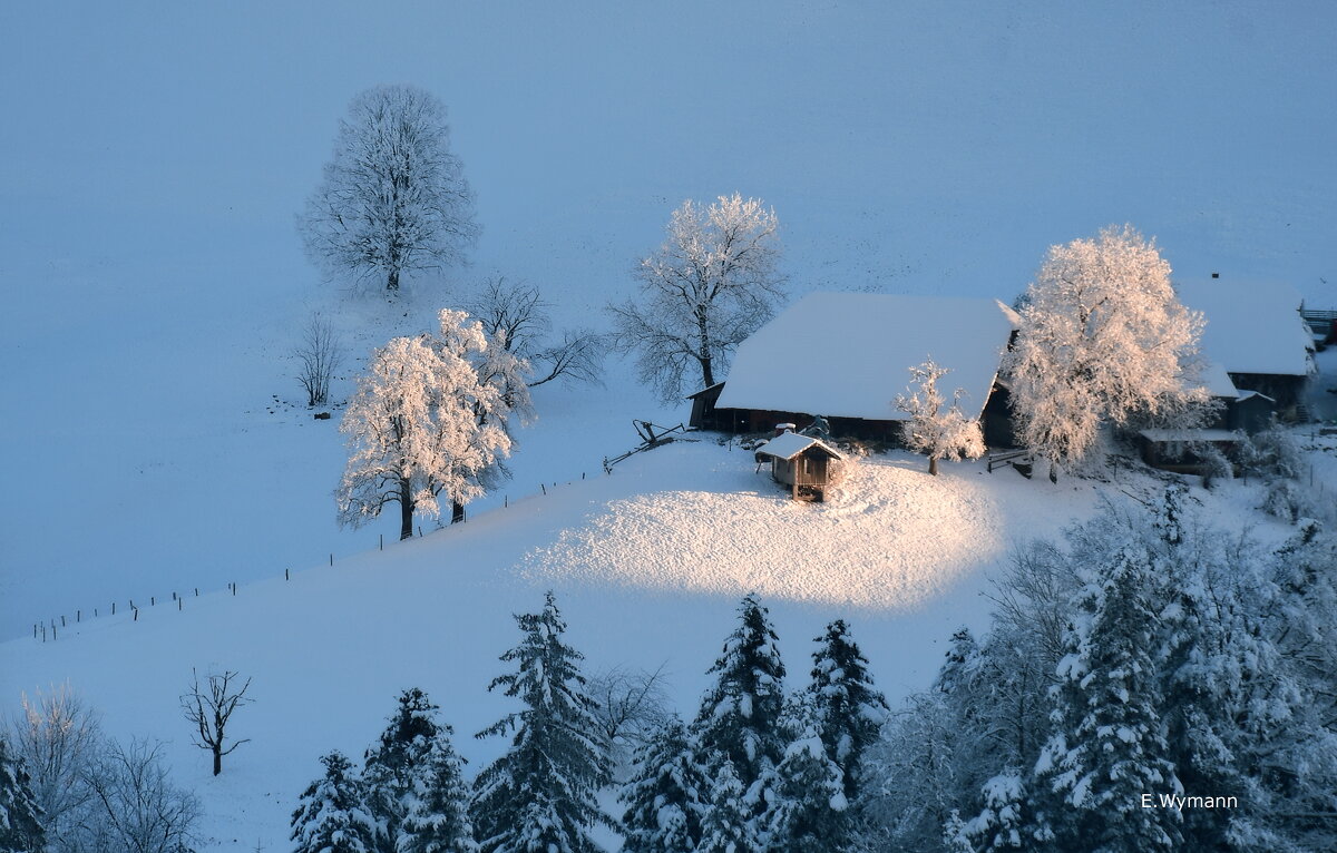 winter view - Elena Wymann