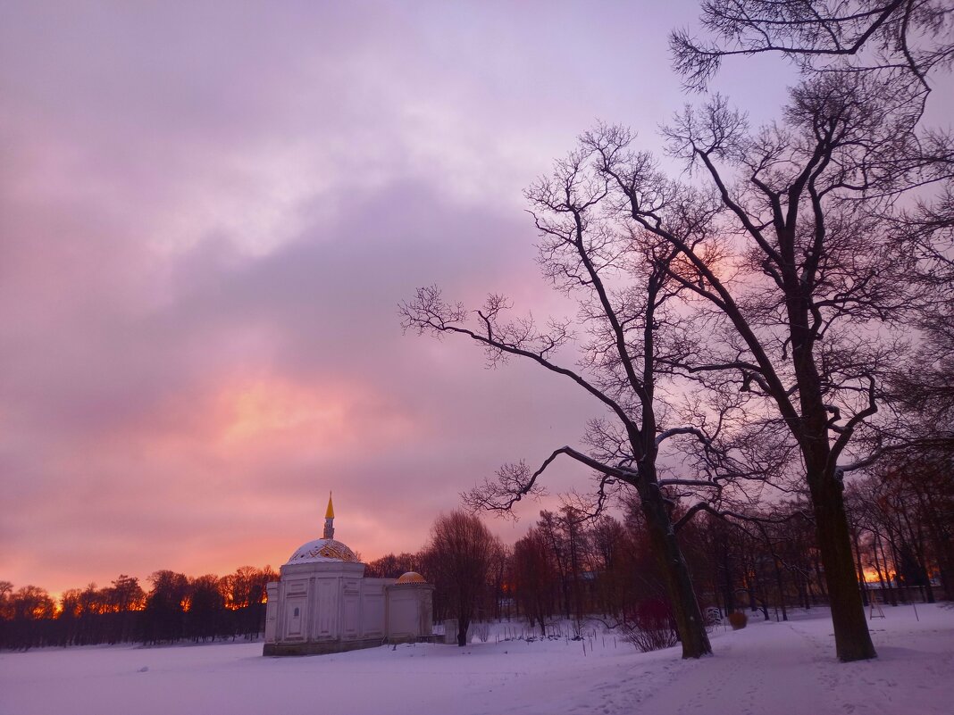 Рассвет - Сапсан 