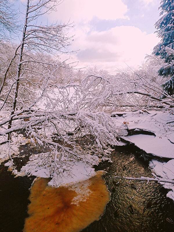 Вязицкий ручей - Сергей Кочнев