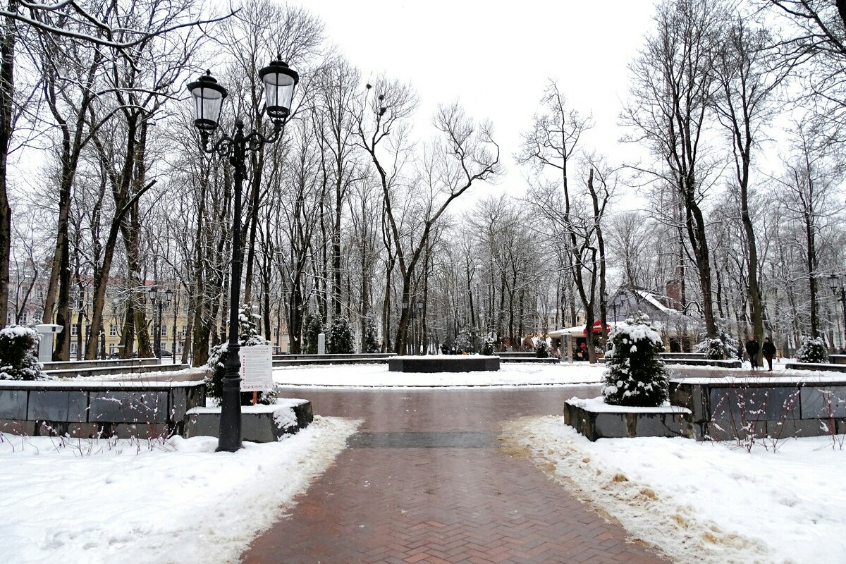 В городском саду. - Милешкин Владимир Алексеевич В городском саду. - Милешкин Владимир Алексеевич