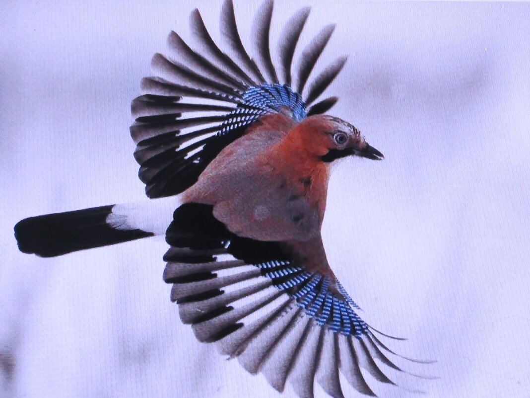 Испугалась меня - Людмила Смородинская Испугалась меня - Людмила Смородинская