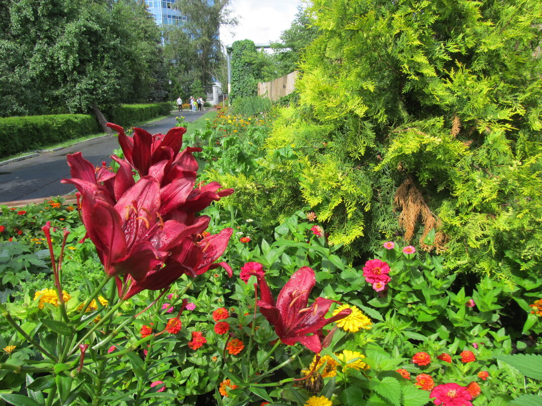 ПРО Екатеринбург - Елена Шаламова