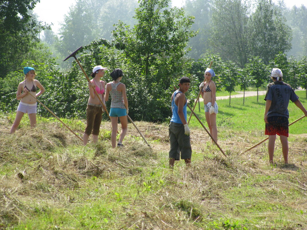 На сенокосе - Олег Зоркий
