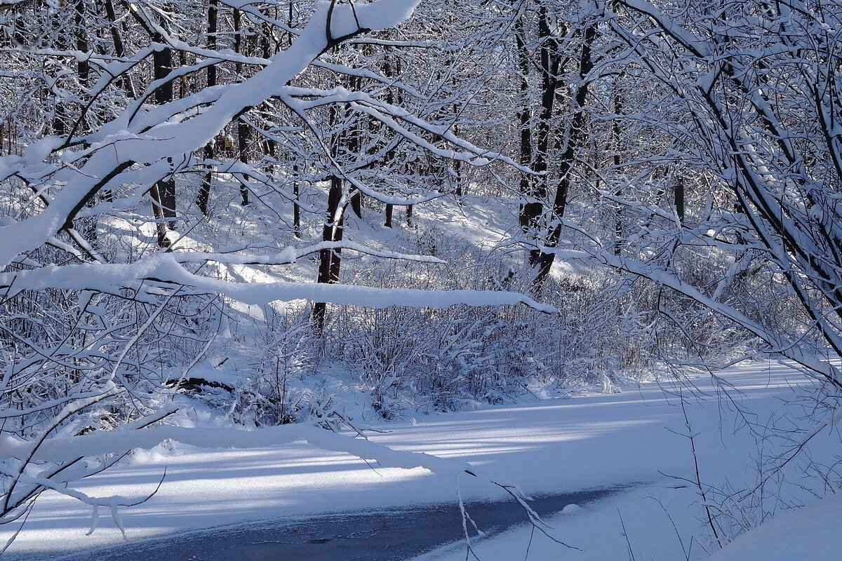 Февраль - Рита Симонова Февраль - Рита Симонова