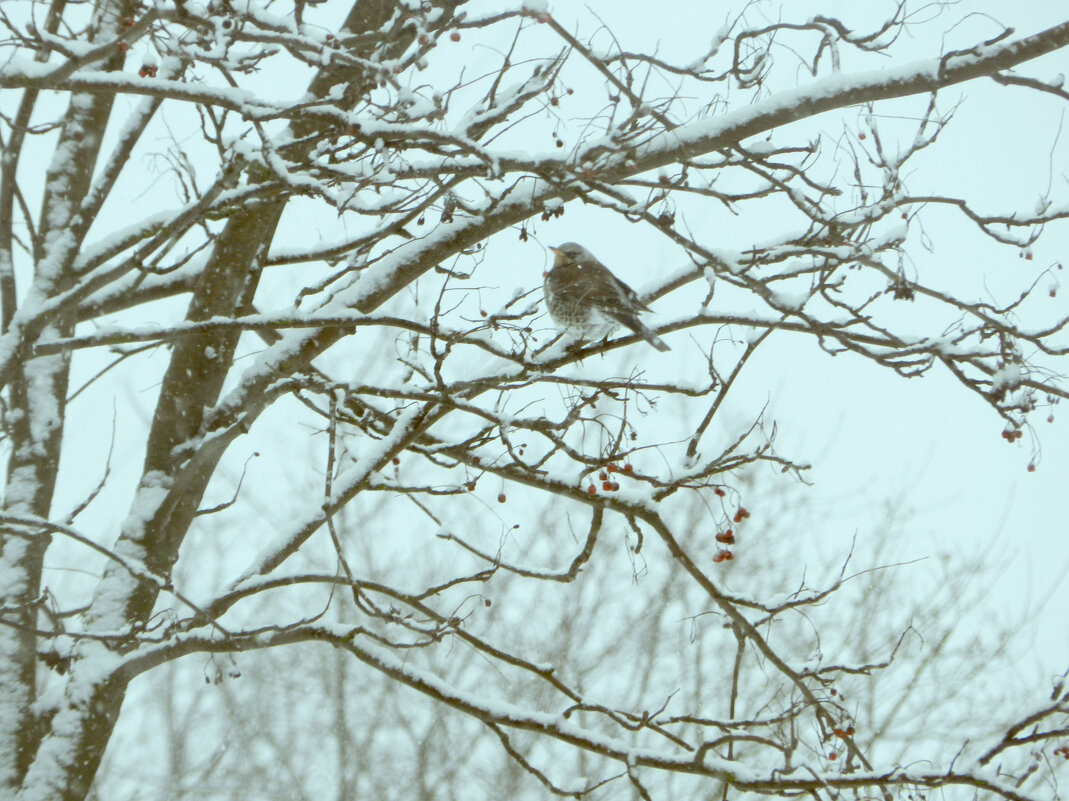 *** - Лера *** - Лера