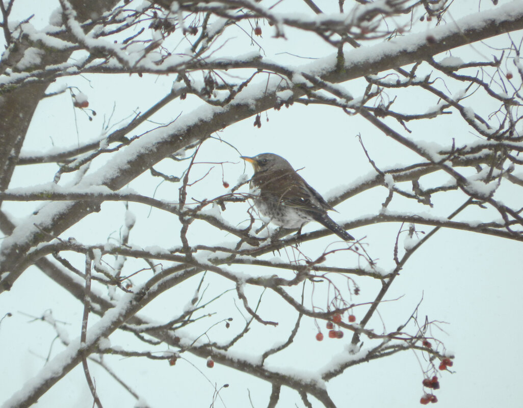 *** - Лера *** - Лера