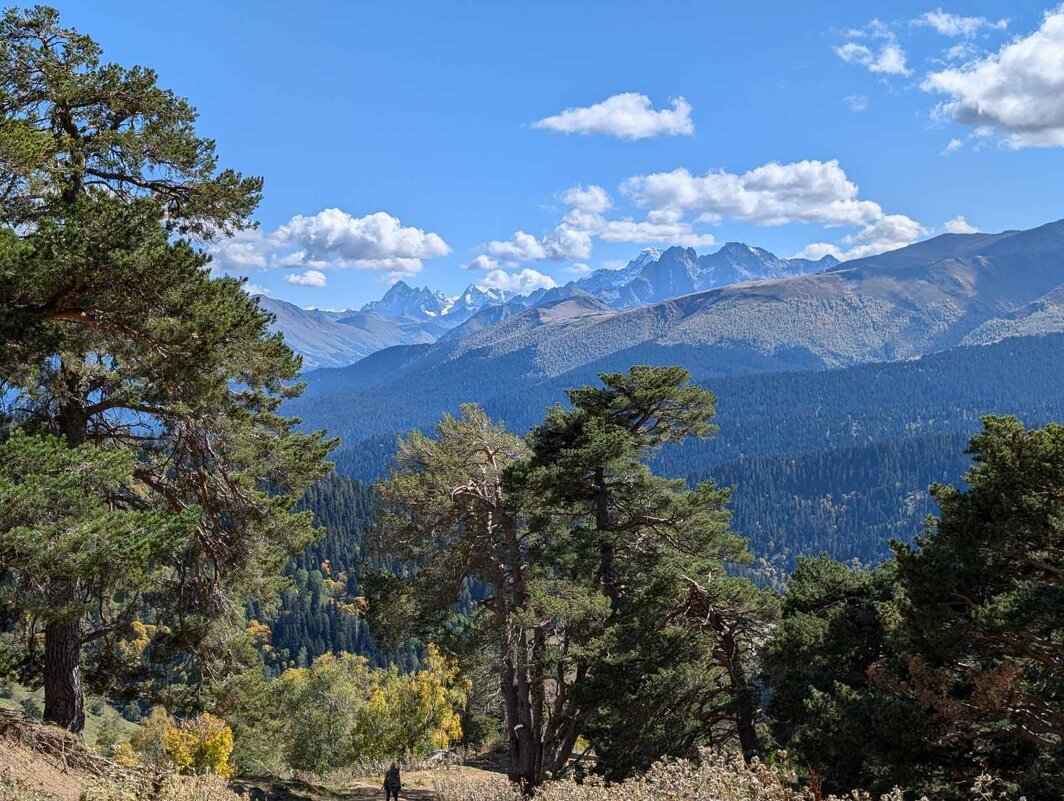Кавказ Карачаево-Черкесия - Нина Колгатина 
