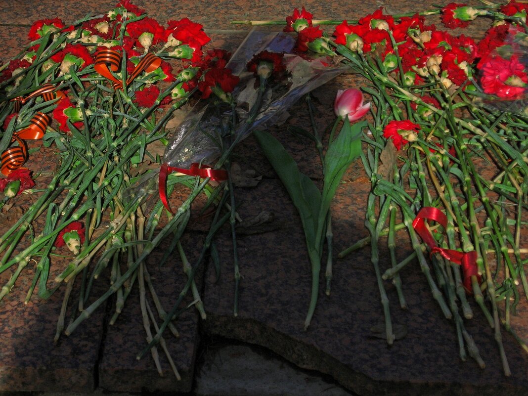 . - Александр Хоменко