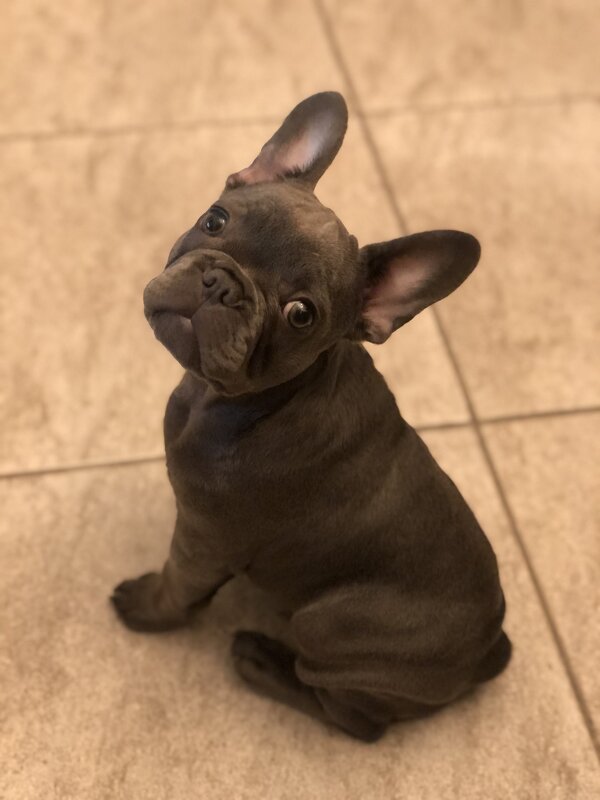 Взгляд из детства - Анна Камс Взгляд из детства - Анна Камс