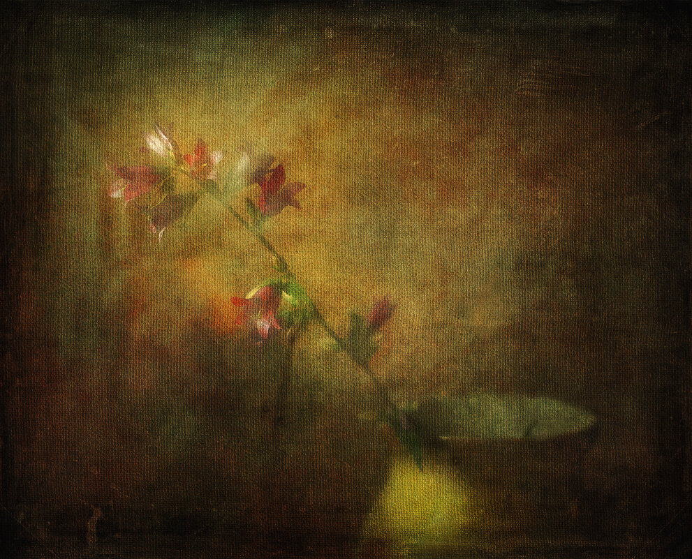 *** - Oleg Rastorguev *** - Oleg Rastorguev