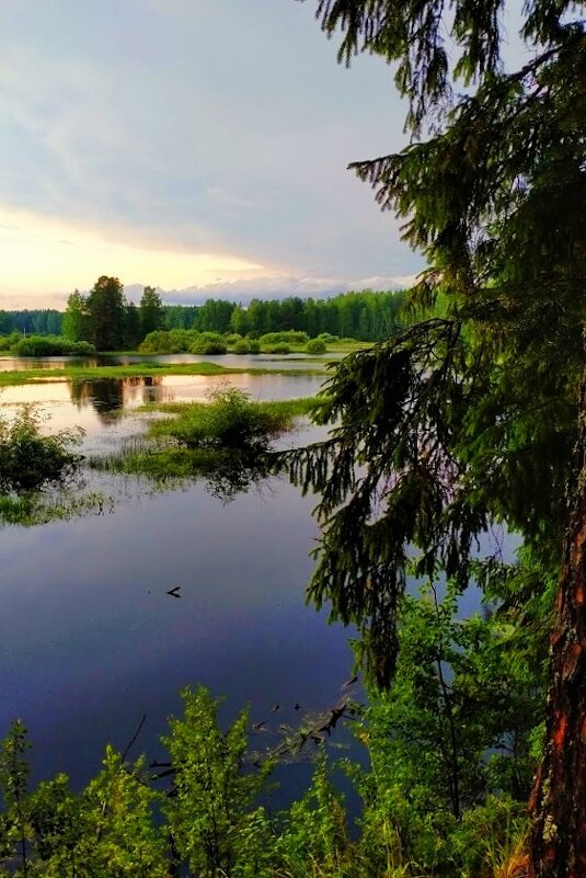 ______"""""""""" - Татьяна Касьяненко