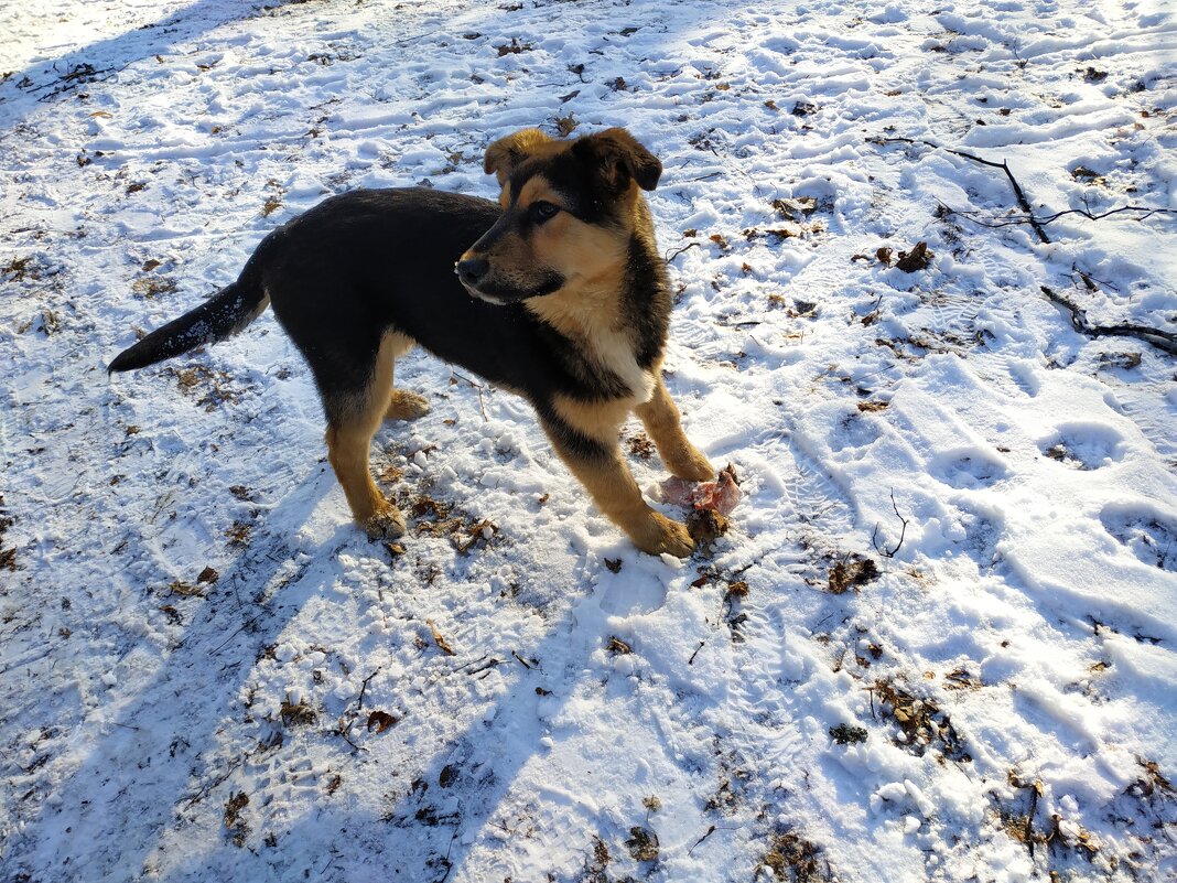 * * * - Андрей Лукьянов * * * - Андрей Лукьянов