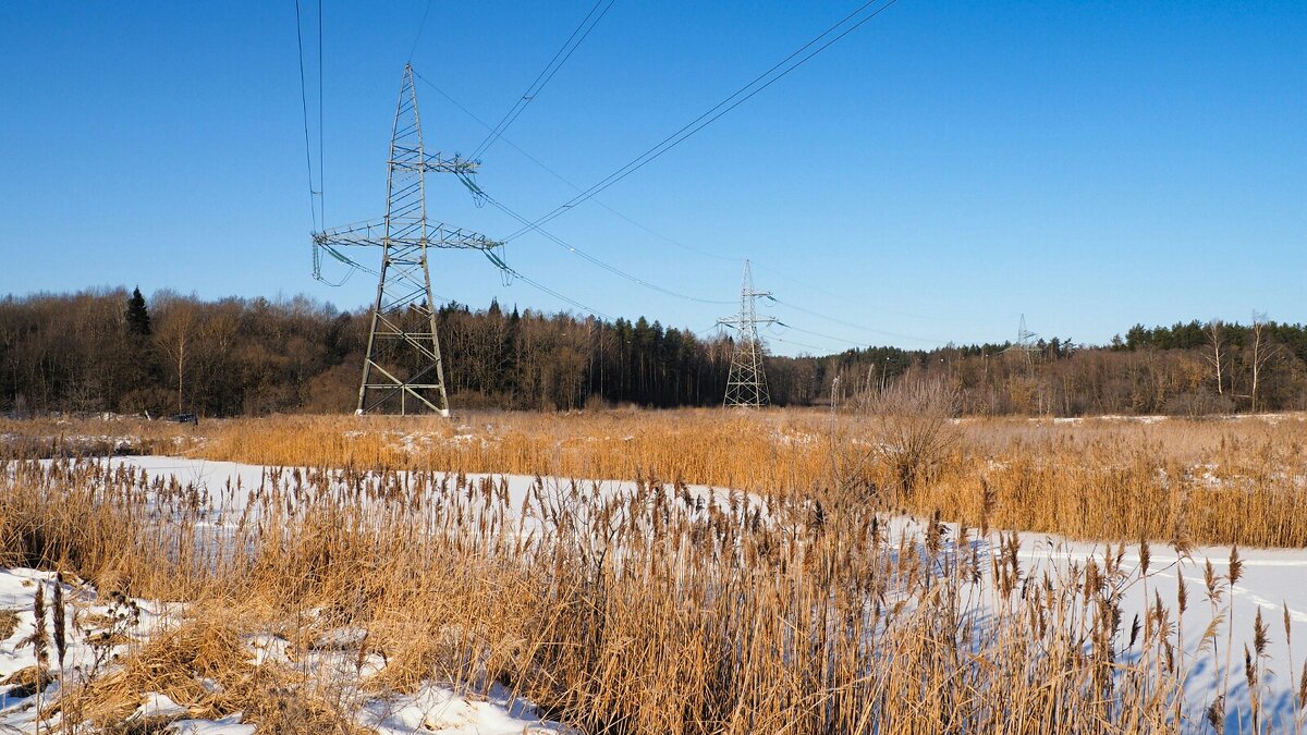 Под линией ВЛЭП. - Милешкин Владимир Алексеевич 