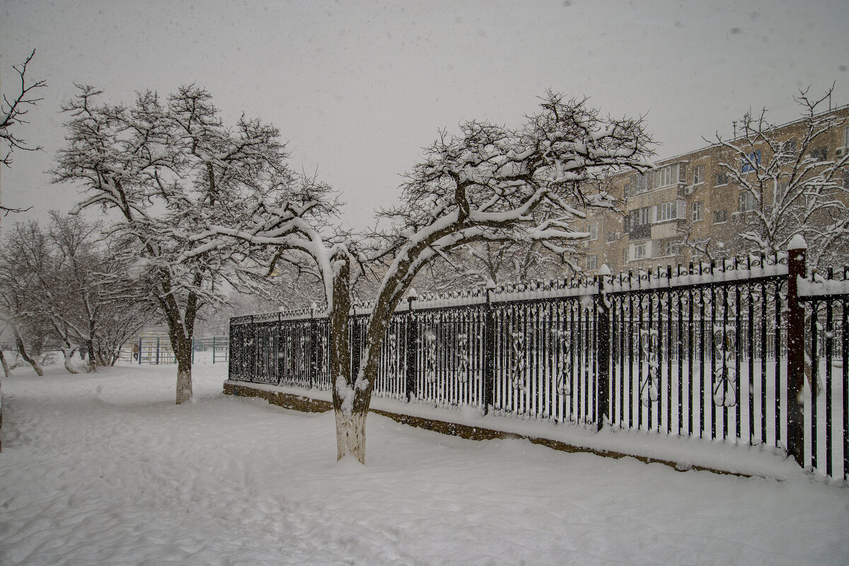 Изгородь - Анатолий Чикчирный