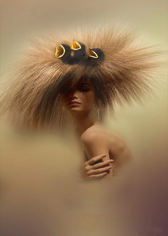 Евро  гнездо - Е.М. ***