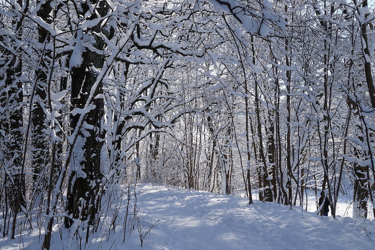 Февраль - Рита Симонова Февраль - Рита Симонова