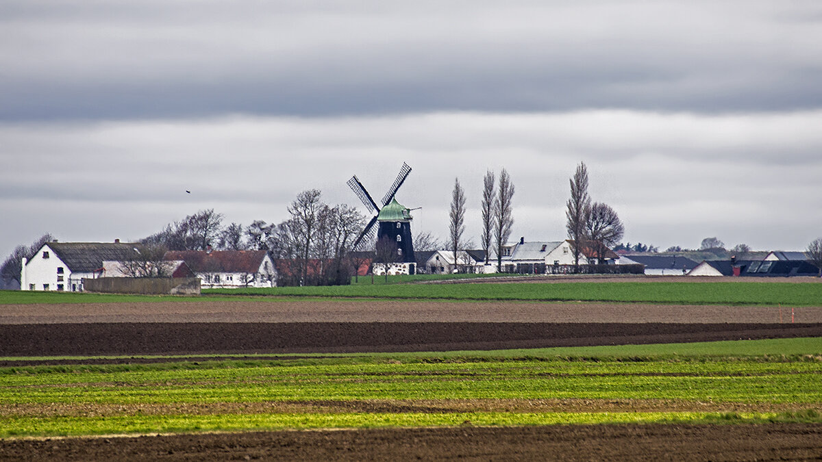 Весна, весна, весна ... - Alexandеr P